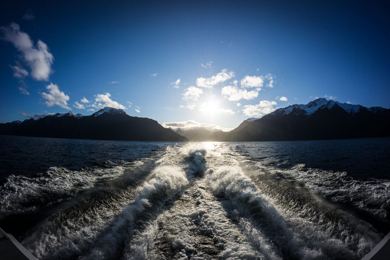 Ein Cruise durch den Doubtful Sound