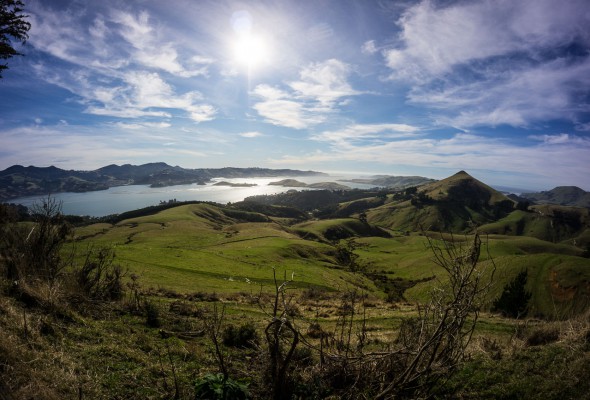 Otago Peninsula